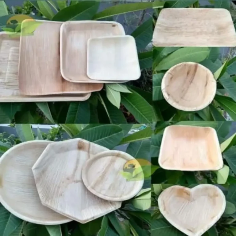 Palm Leaf Dinner Plates